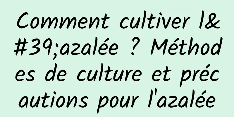 Comment cultiver l'azalée ? Méthodes de culture et précautions pour l'azalée