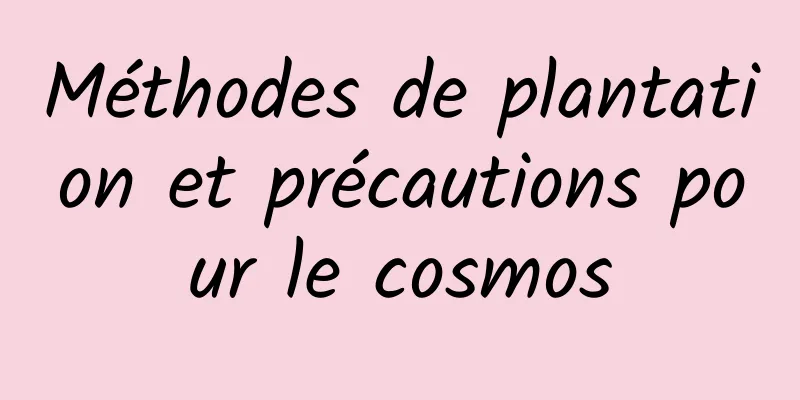 Méthodes de plantation et précautions pour le cosmos