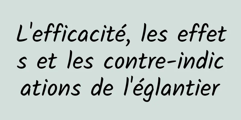 L'efficacité, les effets et les contre-indications de l'églantier