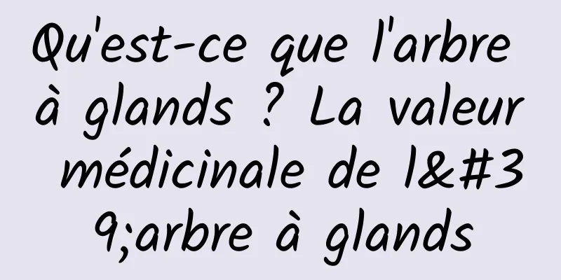 Qu'est-ce que l'arbre à glands ? La valeur médicinale de l'arbre à glands