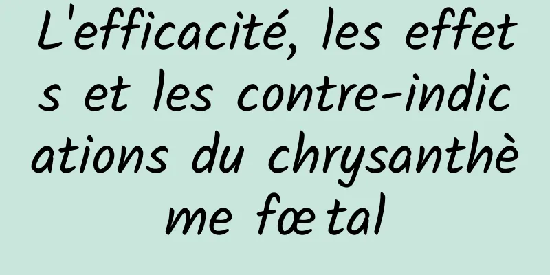 L'efficacité, les effets et les contre-indications du chrysanthème fœtal