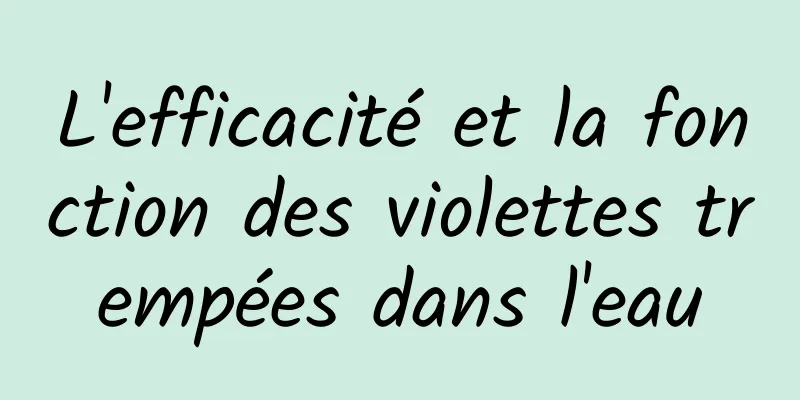 L'efficacité et la fonction des violettes trempées dans l'eau