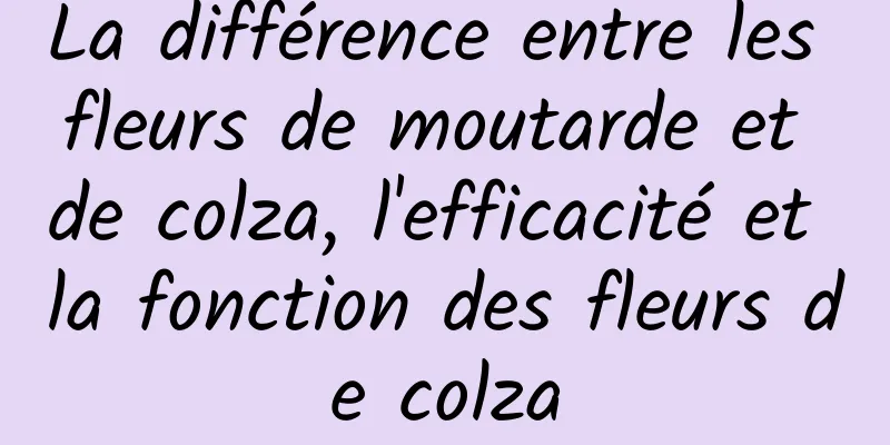 La différence entre les fleurs de moutarde et de colza, l'efficacité et la fonction des fleurs de colza