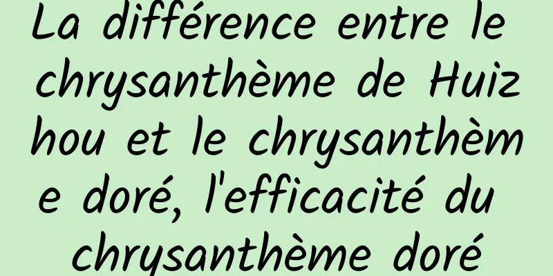 La différence entre le chrysanthème de Huizhou et le chrysanthème doré, l'efficacité du chrysanthème doré