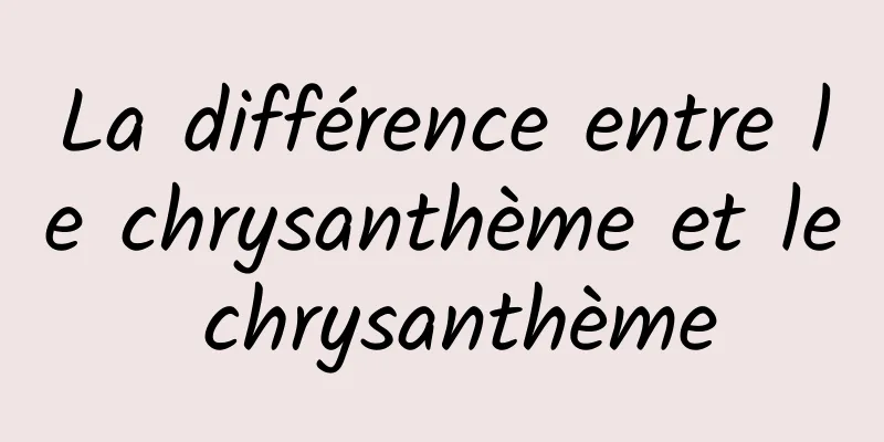 La différence entre le chrysanthème et le chrysanthème