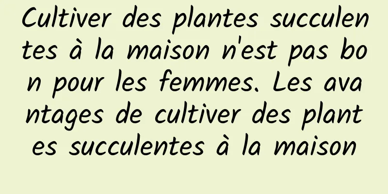 Cultiver des plantes succulentes à la maison n'est pas bon pour les femmes. Les avantages de cultiver des plantes succulentes à la maison