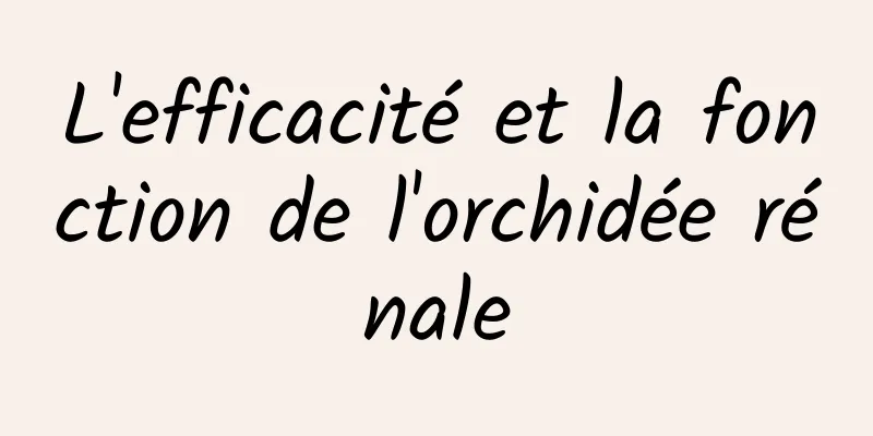 L'efficacité et la fonction de l'orchidée rénale