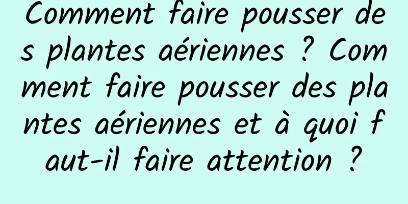 Comment faire pousser des plantes aériennes ? Comment faire pousser des plantes aériennes et à quoi faut-il faire attention ?