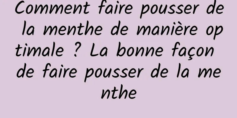 Comment faire pousser de la menthe de manière optimale ? La bonne façon de faire pousser de la menthe