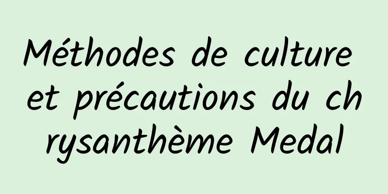 Méthodes de culture et précautions du chrysanthème Medal