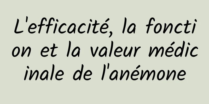 L'efficacité, la fonction et la valeur médicinale de l'anémone