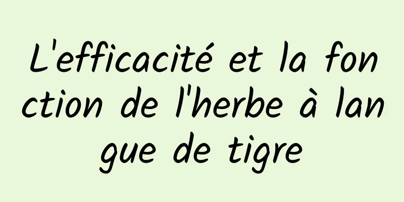 L'efficacité et la fonction de l'herbe à langue de tigre