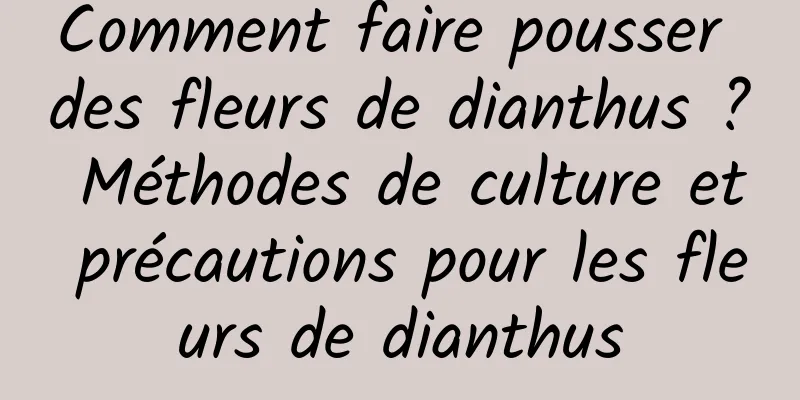 Comment faire pousser des fleurs de dianthus ? Méthodes de culture et précautions pour les fleurs de dianthus