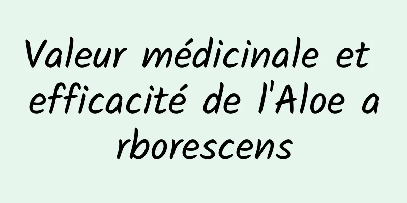 Valeur médicinale et efficacité de l'Aloe arborescens