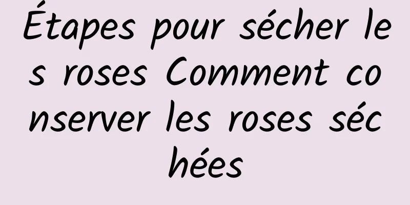 Étapes pour sécher les roses Comment conserver les roses séchées