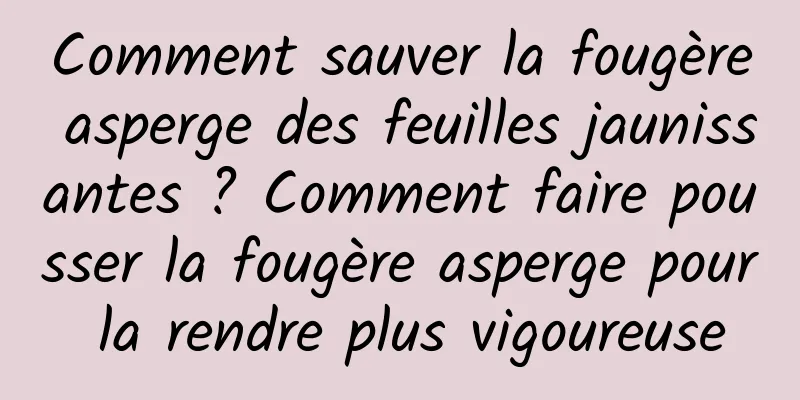 Comment sauver la fougère asperge des feuilles jaunissantes ? Comment faire pousser la fougère asperge pour la rendre plus vigoureuse