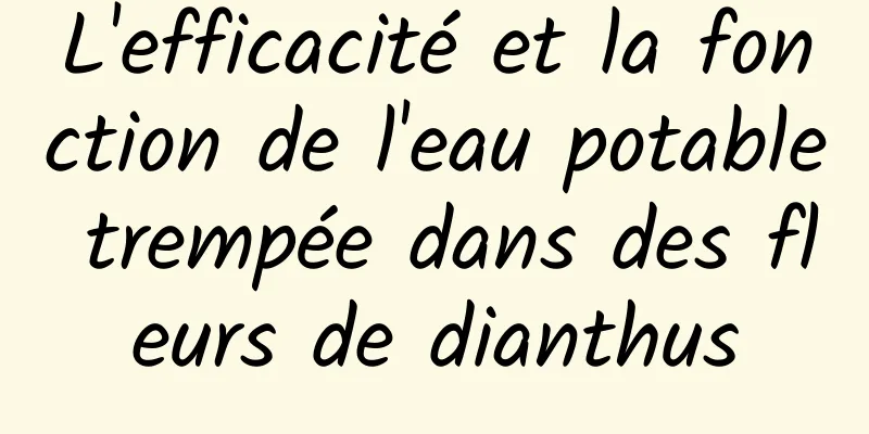 L'efficacité et la fonction de l'eau potable trempée dans des fleurs de dianthus