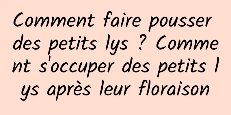 Comment faire pousser des petits lys ? Comment s'occuper des petits lys après leur floraison