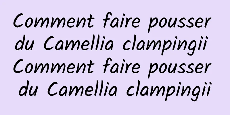 Comment faire pousser du Camellia clampingii Comment faire pousser du Camellia clampingii