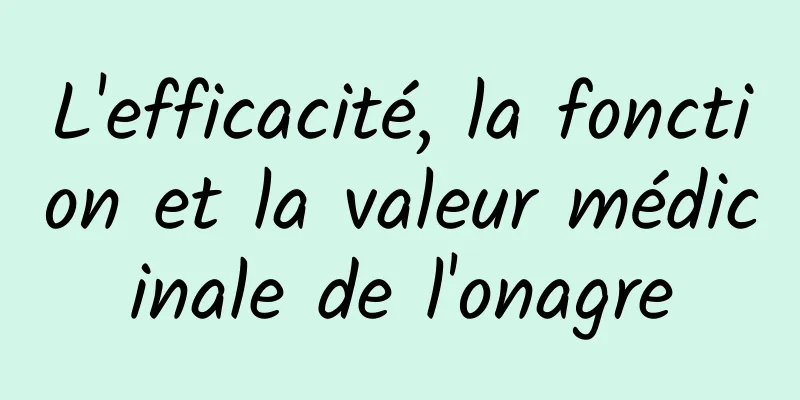 L'efficacité, la fonction et la valeur médicinale de l'onagre