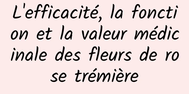 L'efficacité, la fonction et la valeur médicinale des fleurs de rose trémière