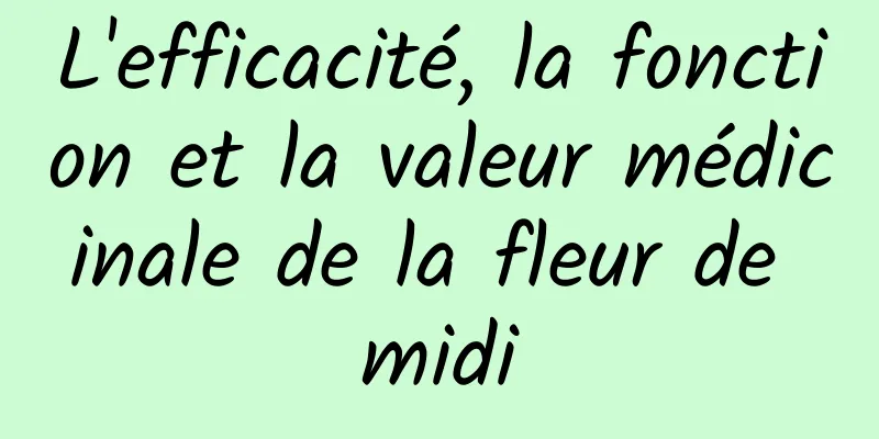 L'efficacité, la fonction et la valeur médicinale de la fleur de midi