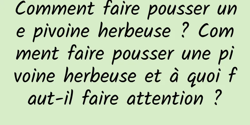 Comment faire pousser une pivoine herbeuse ? Comment faire pousser une pivoine herbeuse et à quoi faut-il faire attention ?