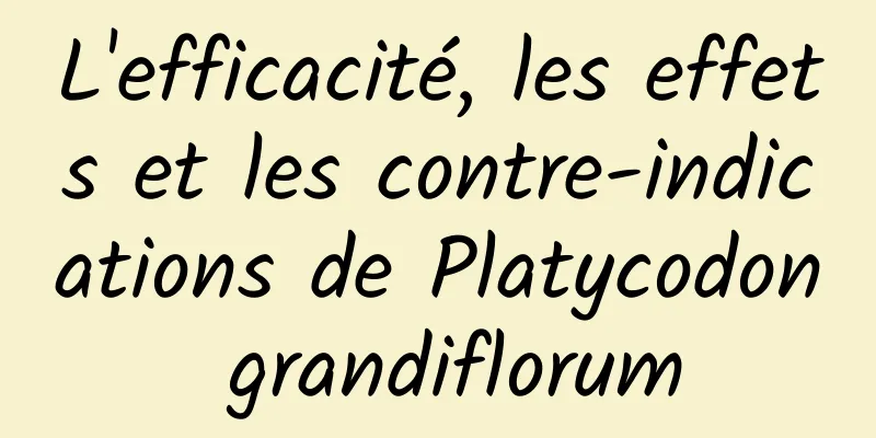 L'efficacité, les effets et les contre-indications de Platycodon grandiflorum