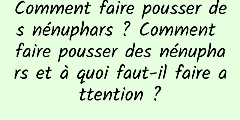 Comment faire pousser des nénuphars ? Comment faire pousser des nénuphars et à quoi faut-il faire attention ?