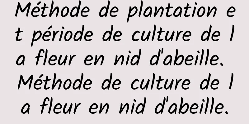 Méthode de plantation et période de culture de la fleur en nid d'abeille. Méthode de culture de la fleur en nid d'abeille.