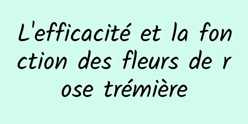 L'efficacité et la fonction des fleurs de rose trémière