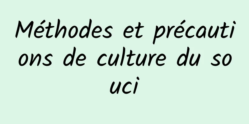 Méthodes et précautions de culture du souci