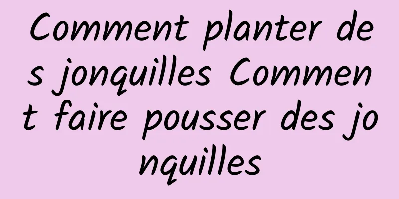 Comment planter des jonquilles Comment faire pousser des jonquilles