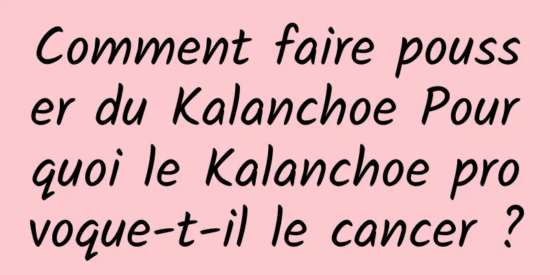 Comment faire pousser du Kalanchoe Pourquoi le Kalanchoe provoque-t-il le cancer ?