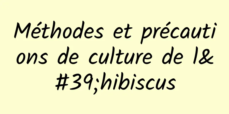 Méthodes et précautions de culture de l'hibiscus