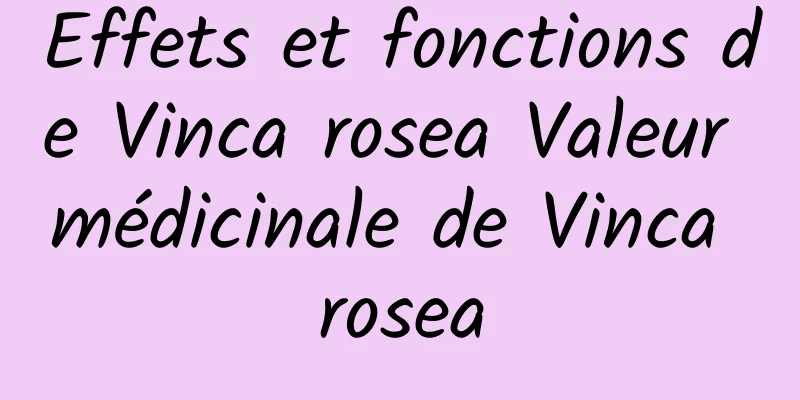 Effets et fonctions de Vinca rosea Valeur médicinale de Vinca rosea