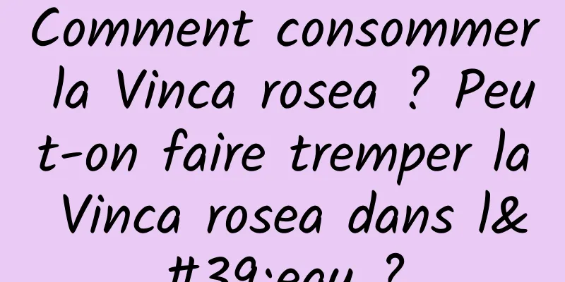 Comment consommer la Vinca rosea ? Peut-on faire tremper la Vinca rosea dans l'eau ?