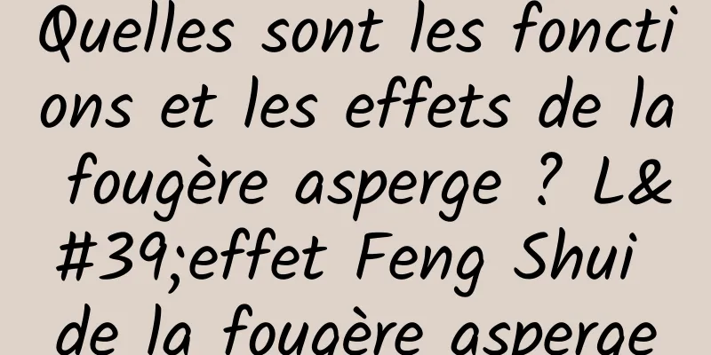 Quelles sont les fonctions et les effets de la fougère asperge ? L'effet Feng Shui de la fougère asperge