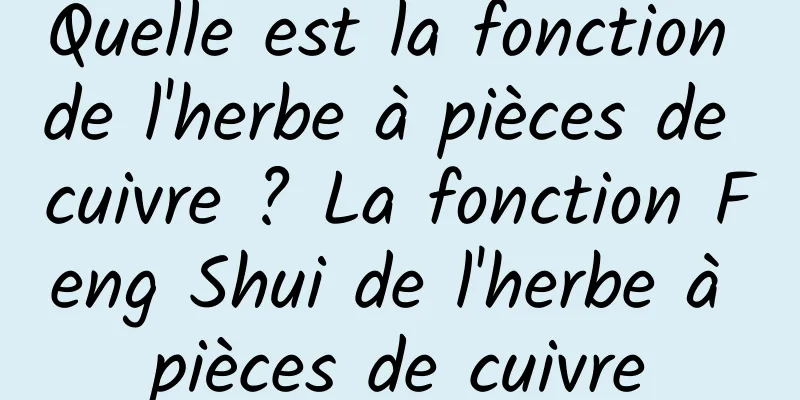 Quelle est la fonction de l'herbe à pièces de cuivre ? La fonction Feng Shui de l'herbe à pièces de cuivre