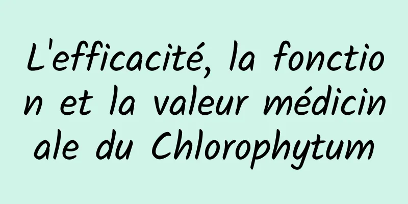 L'efficacité, la fonction et la valeur médicinale du Chlorophytum