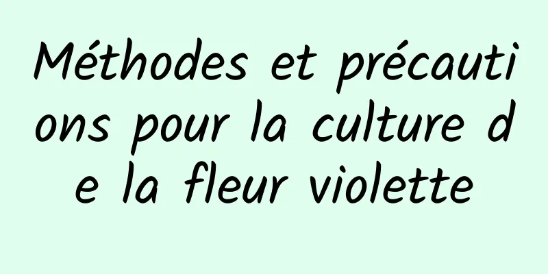 Méthodes et précautions pour la culture de la fleur violette