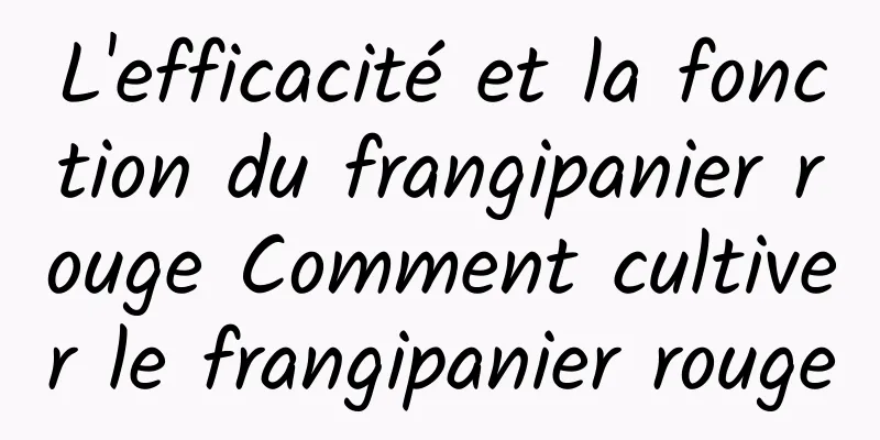 L'efficacité et la fonction du frangipanier rouge Comment cultiver le frangipanier rouge