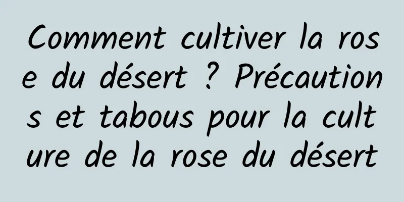 Comment cultiver la rose du désert ? Précautions et tabous pour la culture de la rose du désert