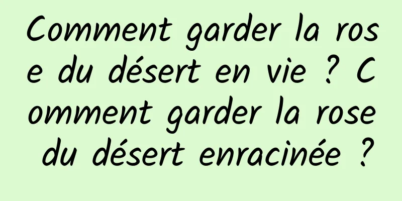 Comment garder la rose du désert en vie ? Comment garder la rose du désert enracinée ?