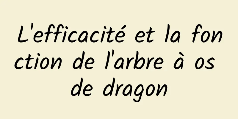 L'efficacité et la fonction de l'arbre à os de dragon