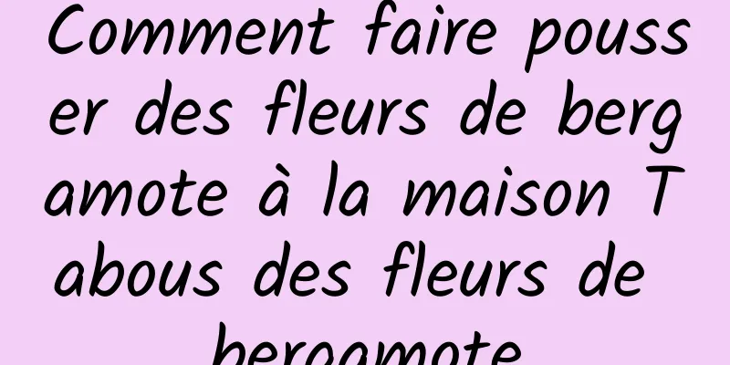 Comment faire pousser des fleurs de bergamote à la maison Tabous des fleurs de bergamote