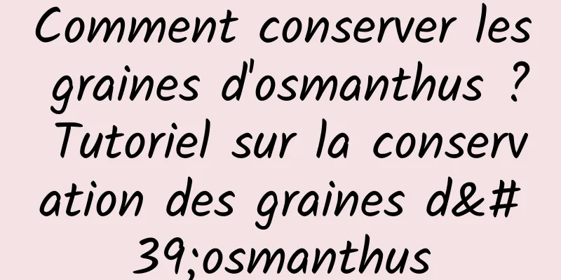 Comment conserver les graines d'osmanthus ? Tutoriel sur la conservation des graines d'osmanthus