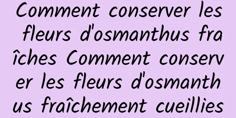 Comment conserver les fleurs d'osmanthus fraîches Comment conserver les fleurs d'osmanthus fraîchement cueillies