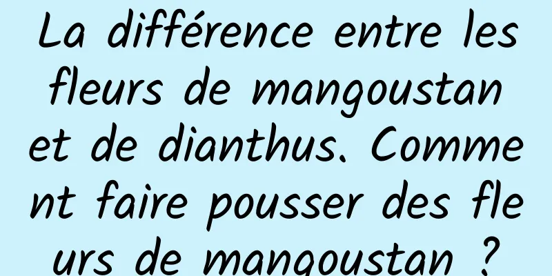 La différence entre les fleurs de mangoustan et de dianthus. Comment faire pousser des fleurs de mangoustan ?