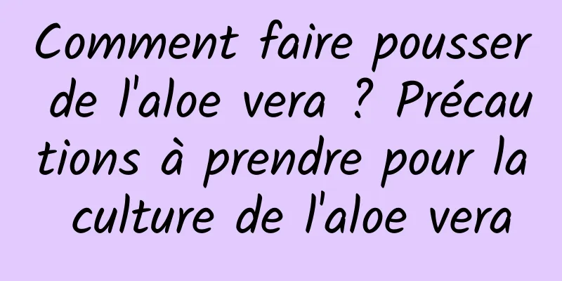 Comment faire pousser de l'aloe vera ? Précautions à prendre pour la culture de l'aloe vera